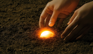 Manifestation During the New Year